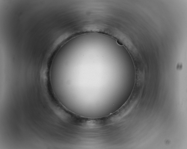 X0000102850064200808181427