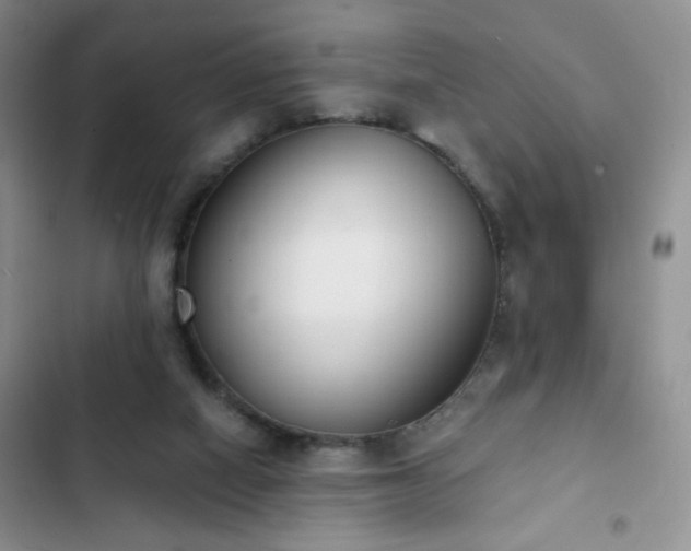 X0000102850066200808181427
