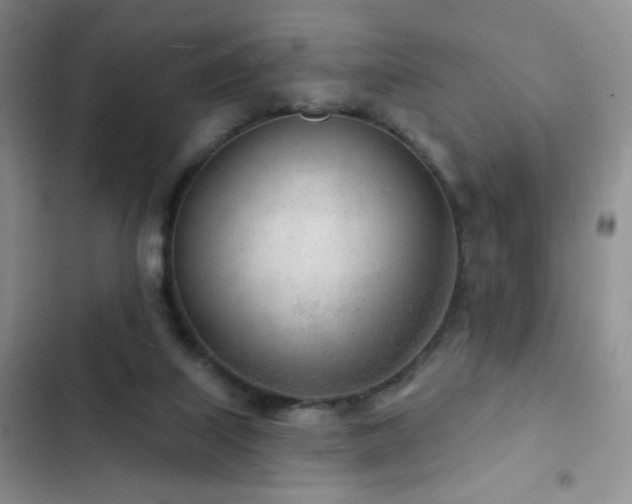 X0000102850067200808181427