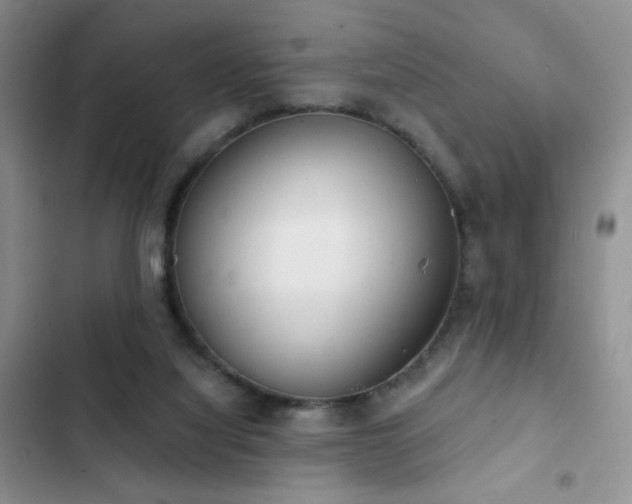 X0000102850068200808181427