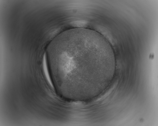 X0000102850069200808181427