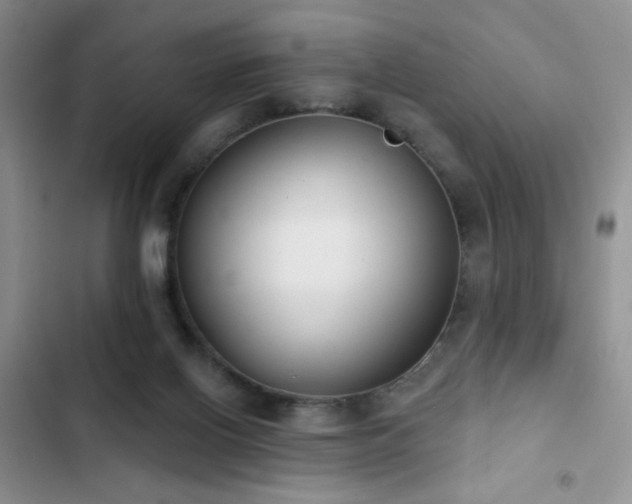 X0000102850070200808181427