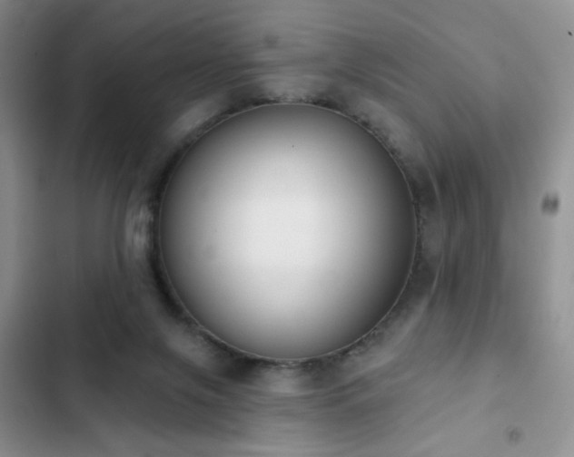 X0000102850071200808181427