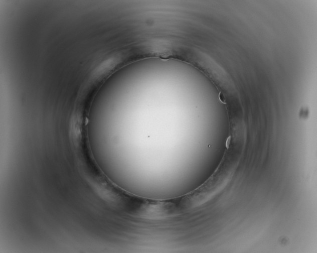 X0000102850072200808181427