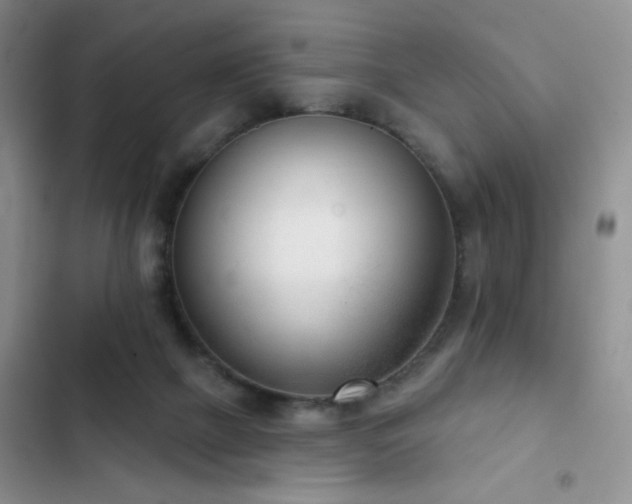 X0000102850073200808181427