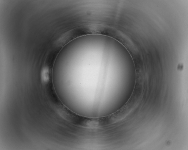 X0000102850075200808181427