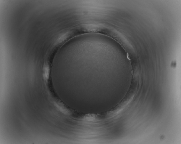 X0000102850076200808181427