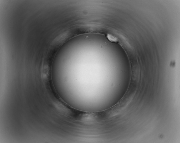 X0000102850077200808181427