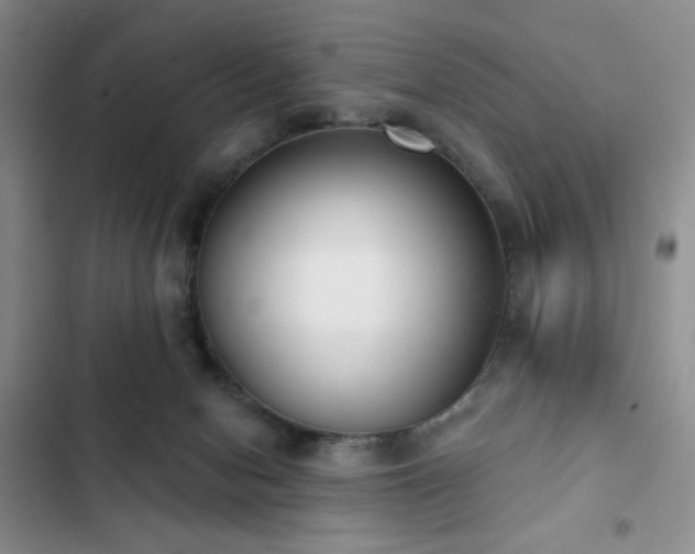 X0000102850078200808181427