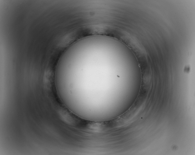 X0000102850079200808181427