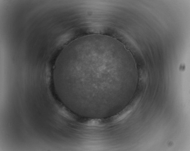 X0000102850080200808181427