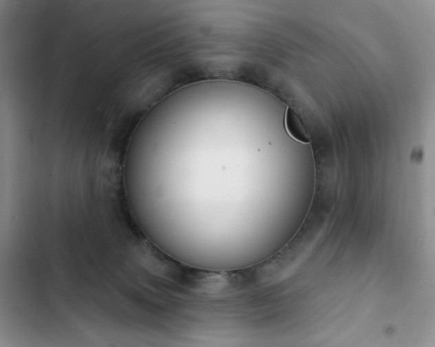 X0000102850083200808181428