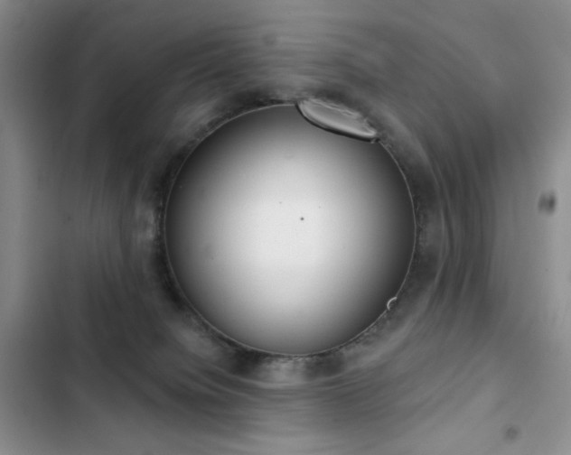 X0000102850084200808181428