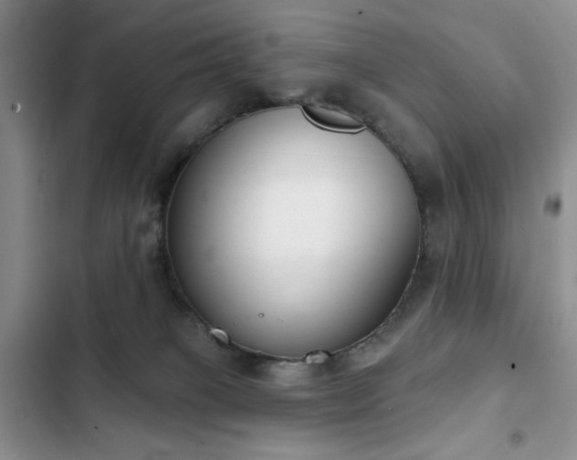 X0000102850085200808181428