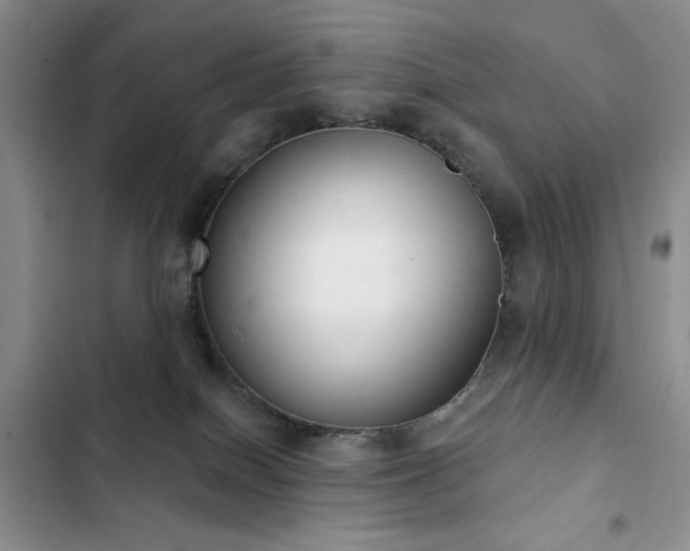X0000102850086200808181428