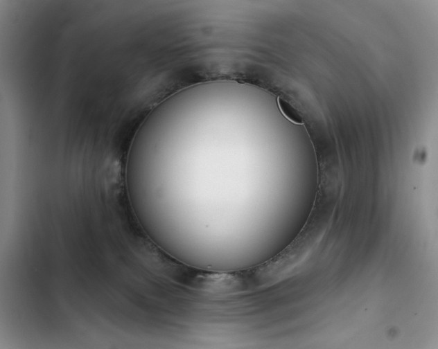 X0000102850087200808181428