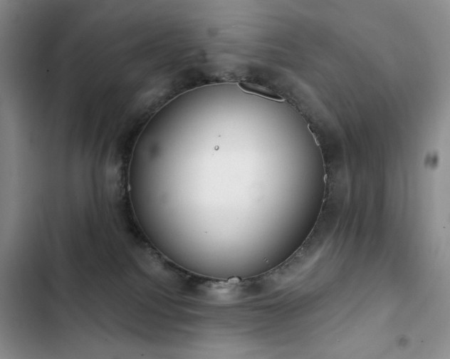 X0000102850088200808181428
