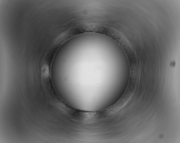 X0000102850089200808181428