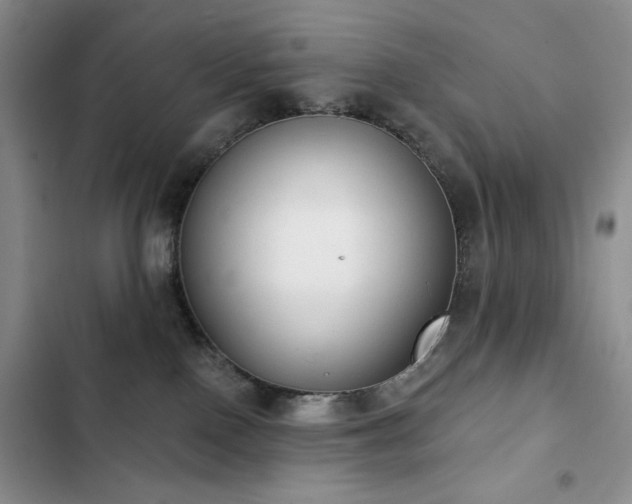 X0000102850090200808181428