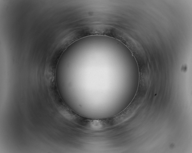 X0000102850091200808181428