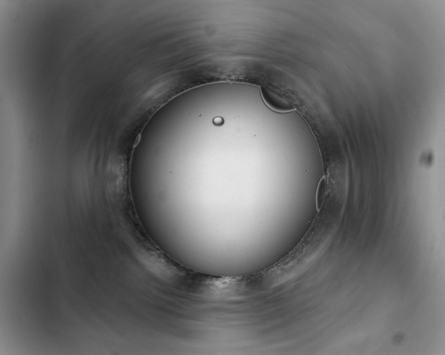 X0000102850092200808181428