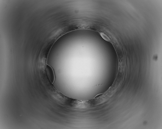 X0000102850093200808181428