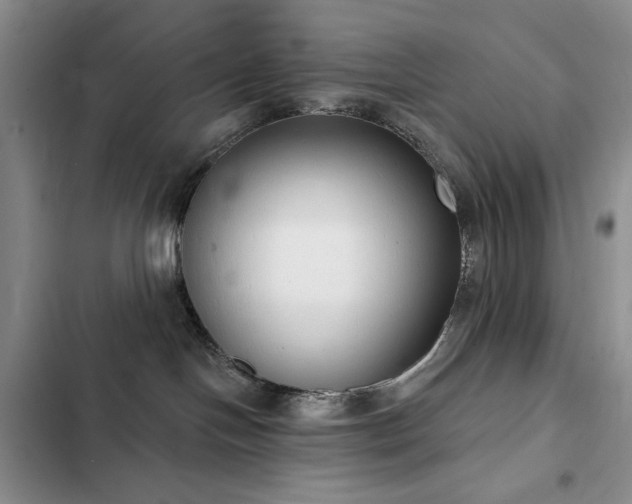 X0000102850094200808181428