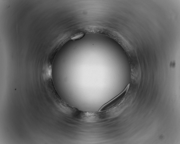 X0000102850095200808181428