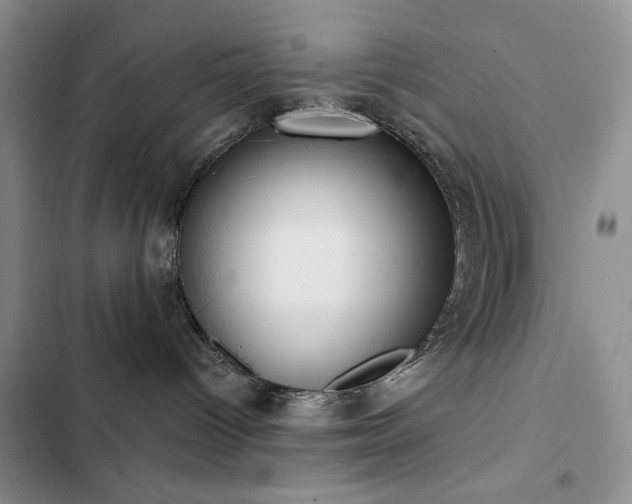 X0000102850096200808181428