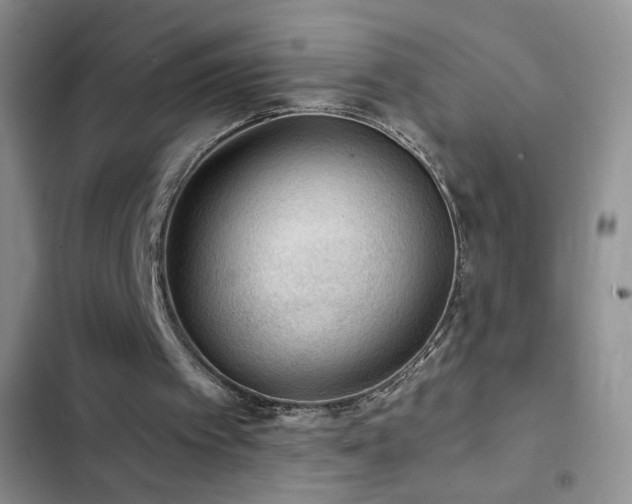 X0000102850097200808181427