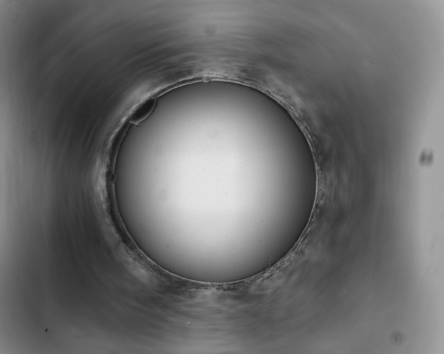 X0000102850098200808181427