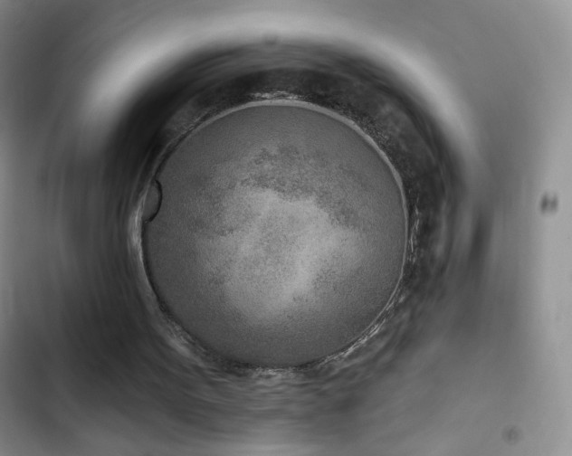 X0000102850099200808181427