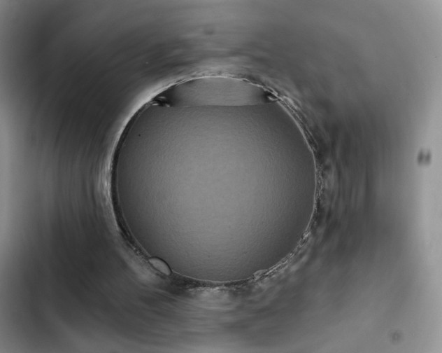 X0000102850100200808181427