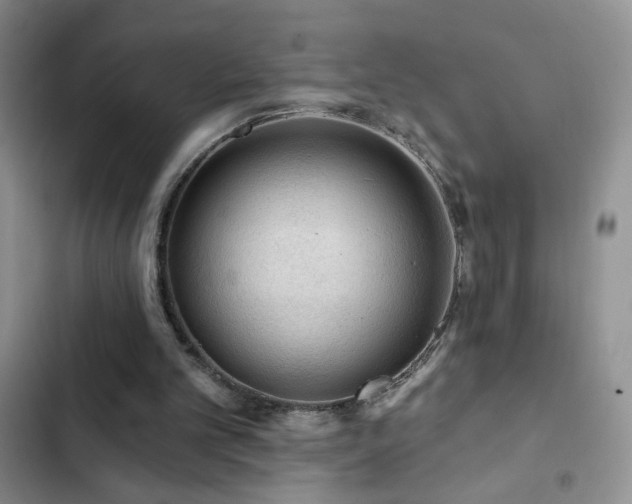 X0000102850101200808181427