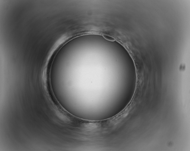 X0000102850102200808181427