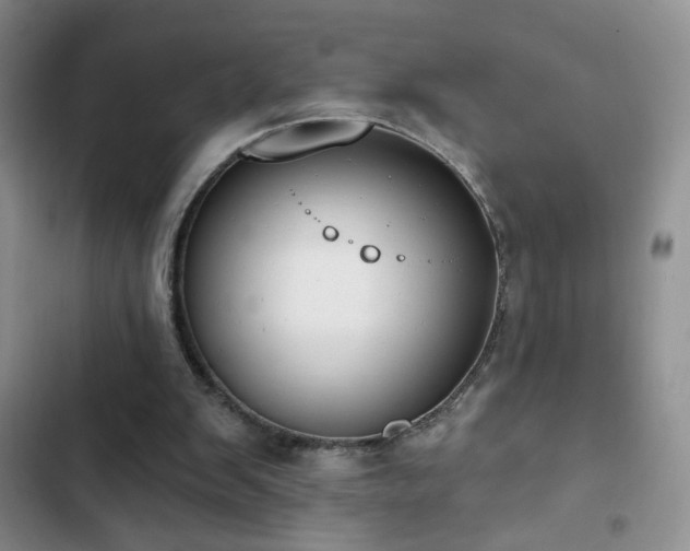 X0000102850103200808181427