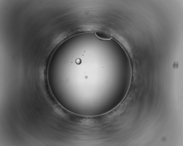X0000102850105200808181427