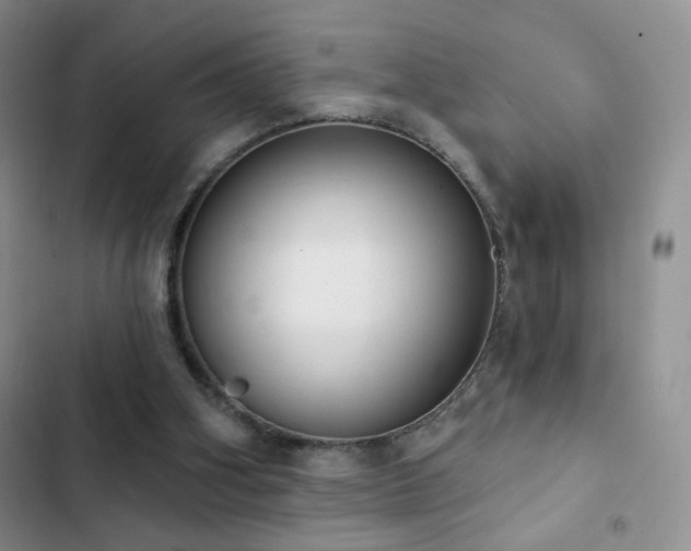 X0000102850106200808181427