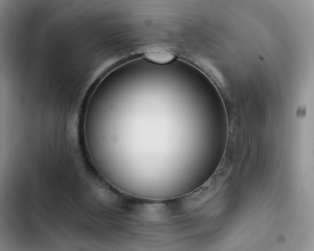 X0000102850108200808181427