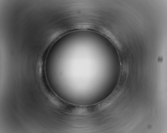 X0000102850110200808181427