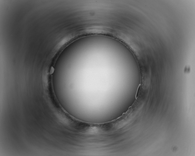 X0000102850111200808181427