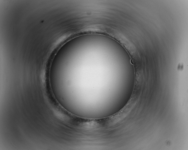 X0000102850112200808181427