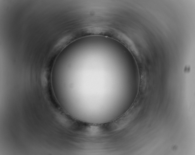 X0000102850114200808181427