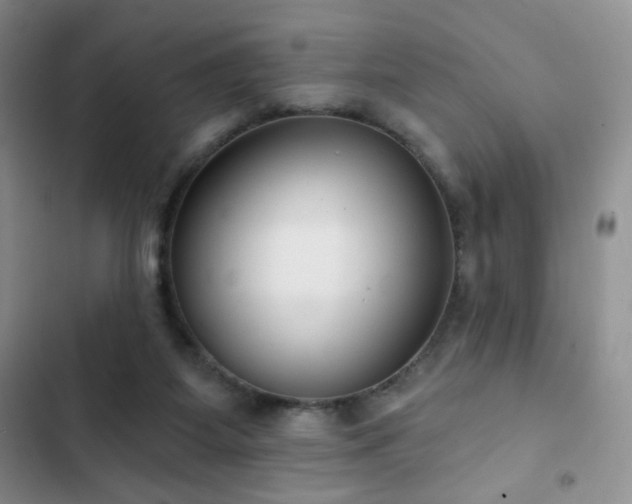 X0000102850115200808181427