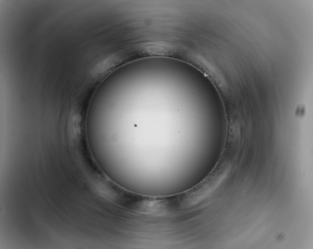 X0000102850117200808181427