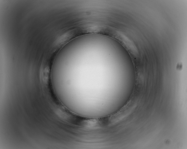X0000102850118200808181427