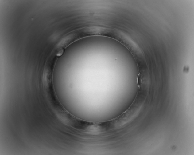 X0000102850119200808181427
