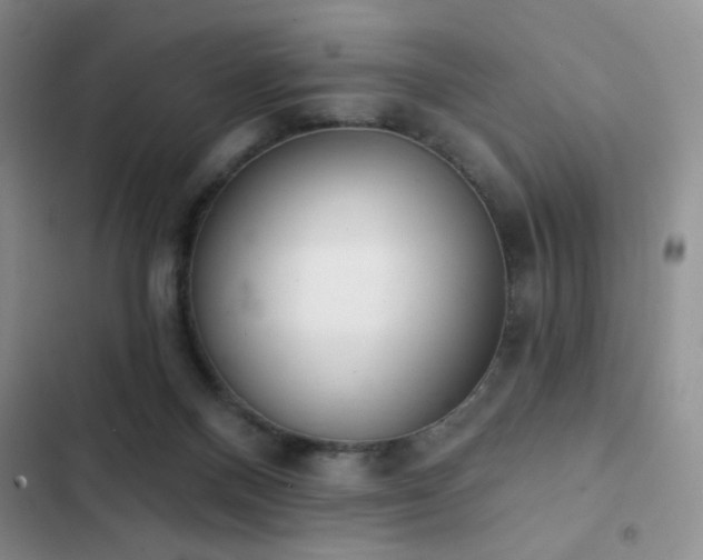 X0000102850120200808181427