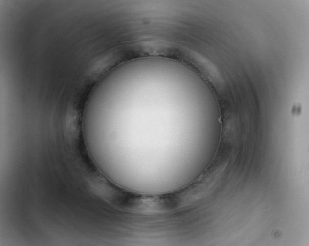 X0000102850121200808181427