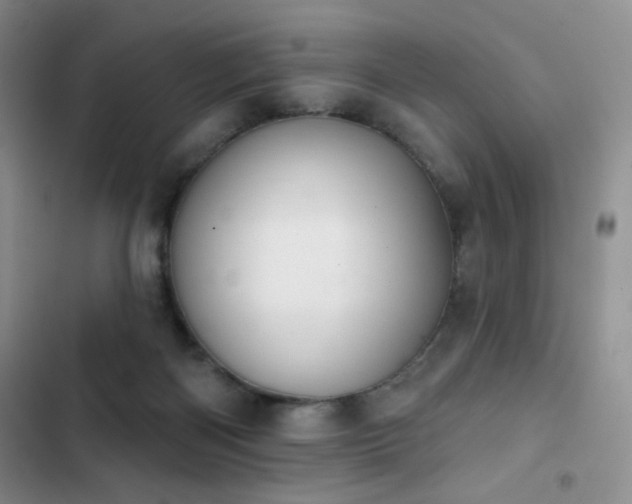 X0000102850122200808181427